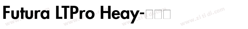 Futura LTPro Heay字体转换